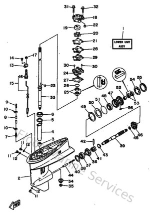 Diagram for Lower Casing & Drive