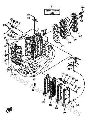 Diagram for Cylinder & Crankcase