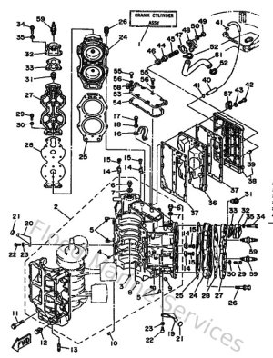 Diagram for Cylinder & Crankcase