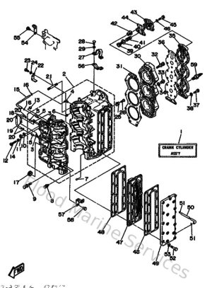 Diagram for Cylinder & Crankcase