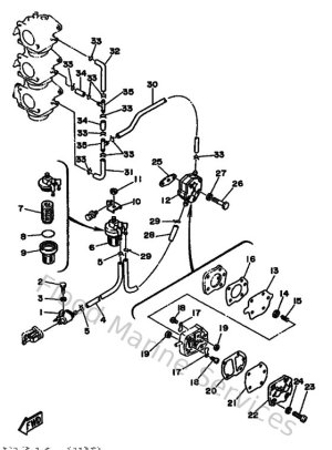 Diagram for Fuel