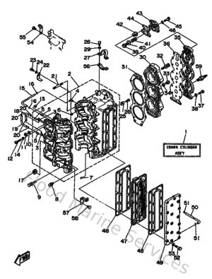 Diagram for Cylinder & Crankcase
