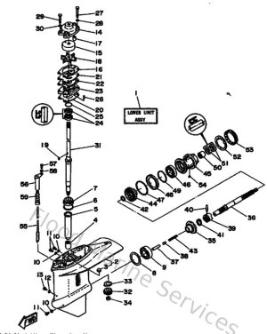 Diagram for Lower Casing & Drive 1