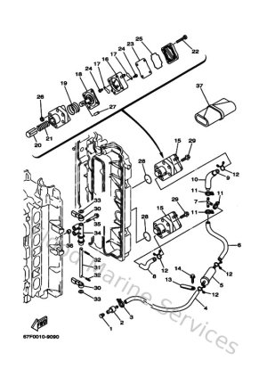 Diagram for Fuel