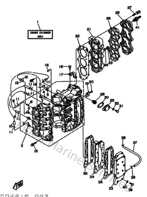 Diagram for Cylinder & Crankcase