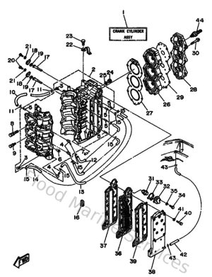 Diagram for Cylinder & Crankcase