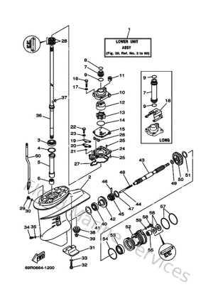 Diagram for Lower Casing & Drive 1