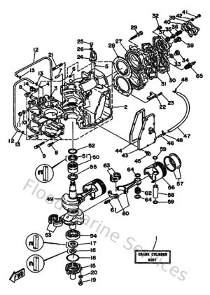 Diagram for Cylinder & Crankcase