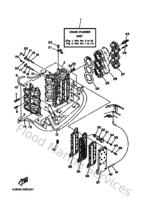 Diagram for Cylinder & Crankcase