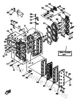 Diagram for Cylinder & Crankcase