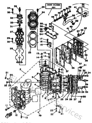 Diagram for Cylinder & Crankcase