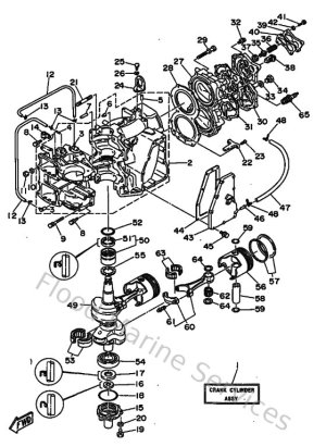 Diagram for Cylinder & Crankcase