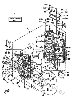 Diagram for Cylinder & Crankcase