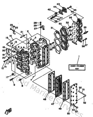 Diagram for Cylinder & Crankcase