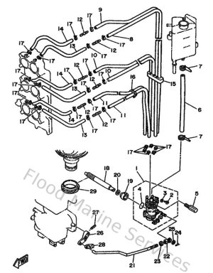Diagram for Oil Pump