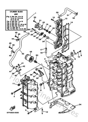 Diagram for Cylinder & Crankcase