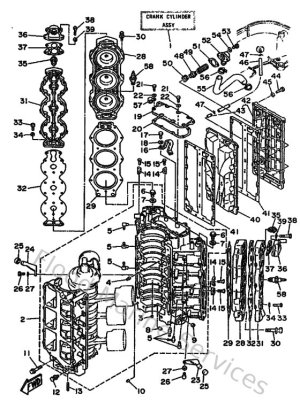 Diagram for Cylinder & Crankcase