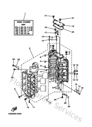 Diagram for Cylinder & Crankcase