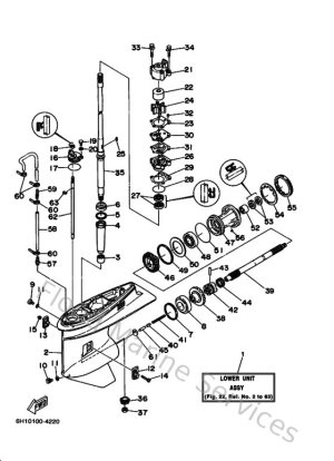 Diagram for Lower Casing & Drive 1