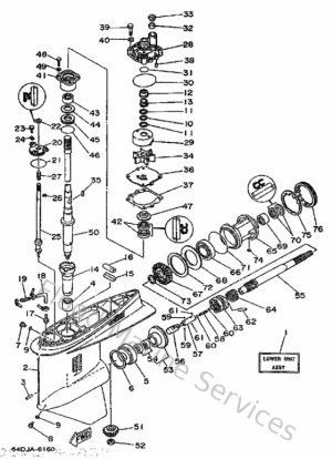 Diagram for Lower Casing & Drive 1