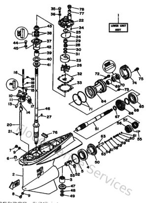 Diagram for Lower Casing & Drive 1