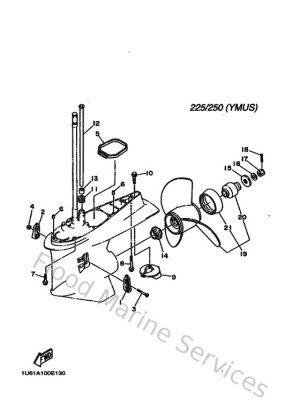 Diagram for Lower Casing & Drive 2