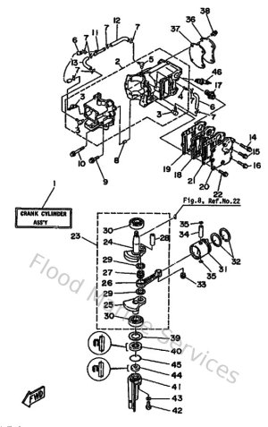 Diagram for Cylinder & Crankcase