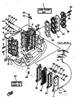 Diagram for Cylinder & Crankcase