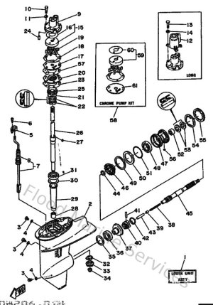 Diagram for Lower Casing & Drive 1