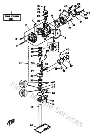Diagram for Cylinder & Crankcase