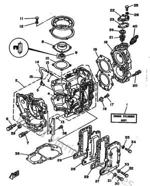 Diagram for Cylinder & Crankcase