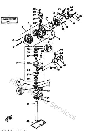 Diagram for Cylinder & Crankcase