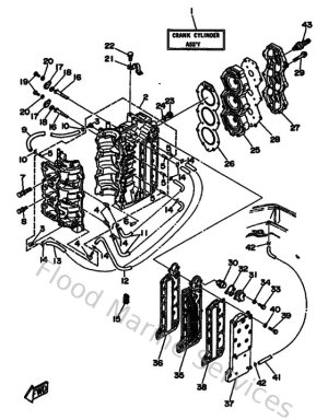 Diagram for Cylinder & Crankcase