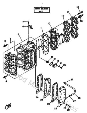 Diagram for Cylinder & Crankcase