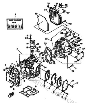 Diagram for Cylinder & Crankcase