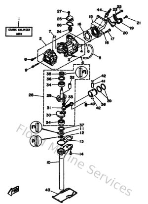 Diagram for Cylinder & Crankcase