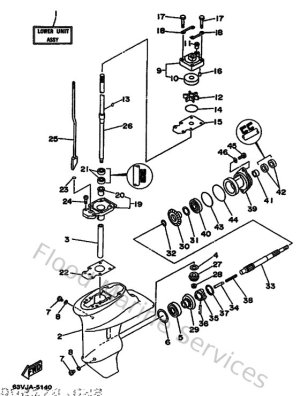 Diagram for Lower Casing & Drive