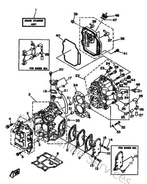 Diagram for Cylinder & Crankcase