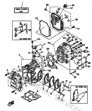 Diagram for Cylinder & Crankcase