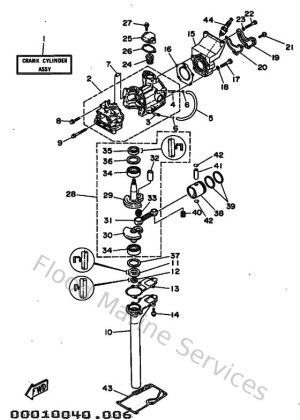 Diagram for Cylinder & Crankcase