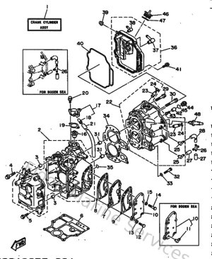 Diagram for Cylinder & Crankcase