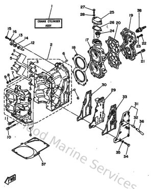 Diagram for Cylinder & Crankcase