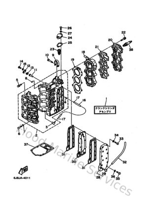 Diagram for Cylinder & Crankcase