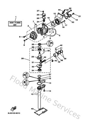 Diagram for Cylinder & Crankcase