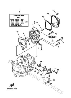 Diagram for Cylinder & Crankcase