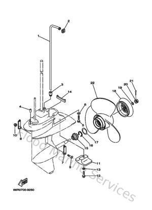 Diagram for Lower Casing & Drive 2