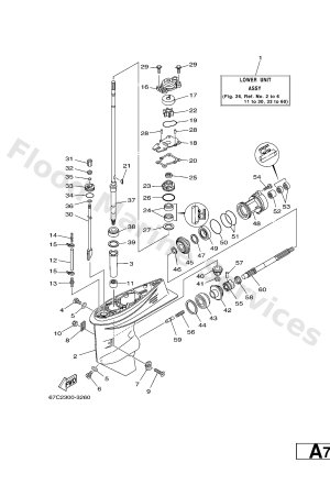 Diagram for LOWER CASING & DRIVE 1