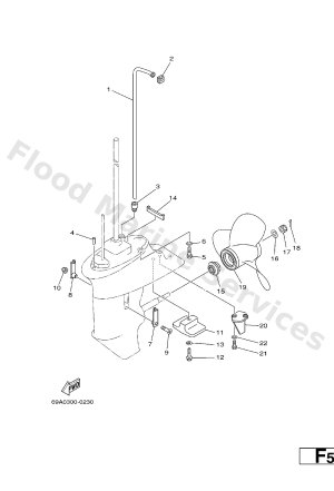 Diagram for LOWER CASING. DRIVE 2