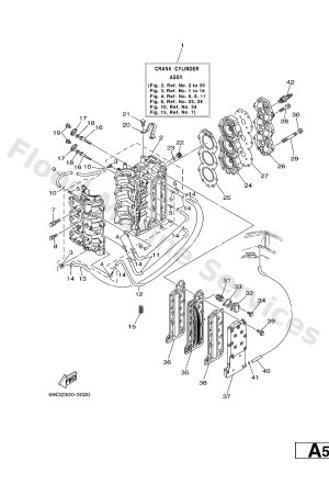 Diagram for CYLINDER & CRANKCASE