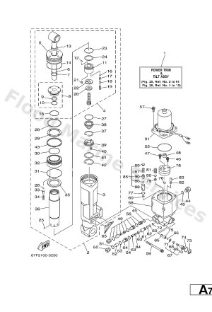 Diagram for POWER TRIM & TILT ASSY 1